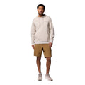 Columbia Columbia Trek Graphic Hoodie Cotton Men's Brown Hooded Sweatshirt