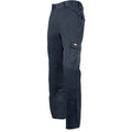 Dickies Everyday Synthetic Men's Blue Outdoor Trousers