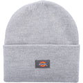 Dickies Acrylic Cuffed Unisex Adults Grey Beanie Hat