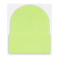Dickies Acrylic Cuffed Unisex Adults Yellow Beanie Hat