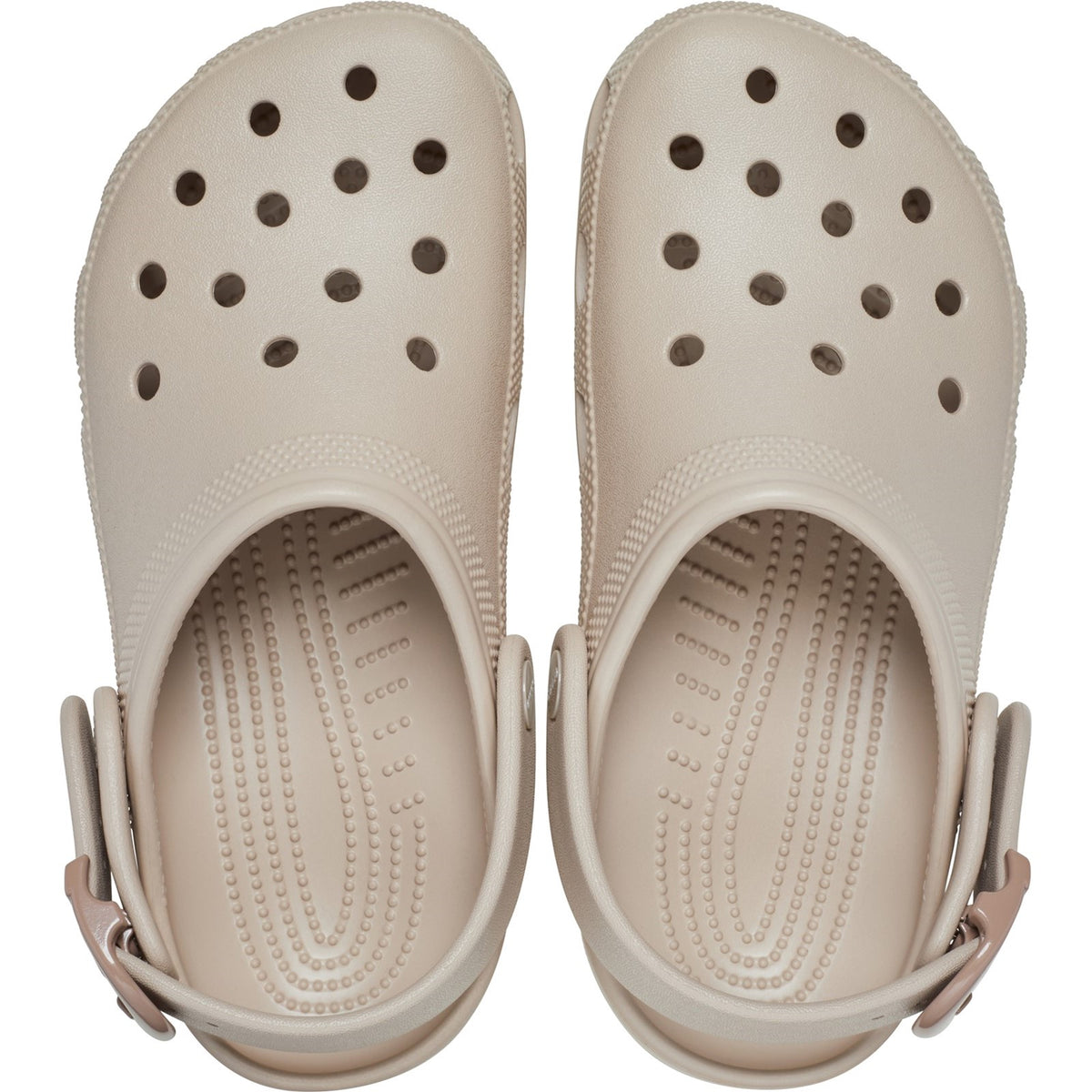 Crocs Classic Buckle EVA Women's Dulce Clogs
