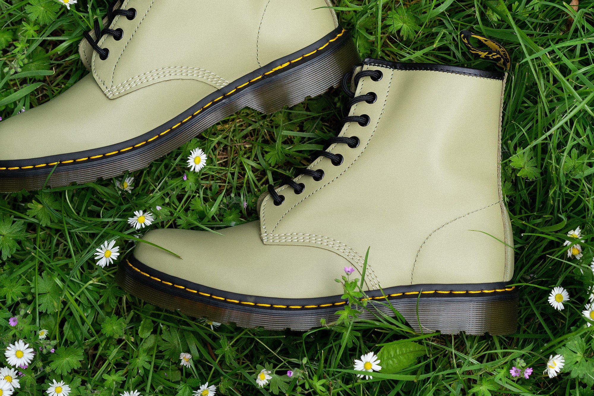 This Week's Family Favourites - Vol. 51