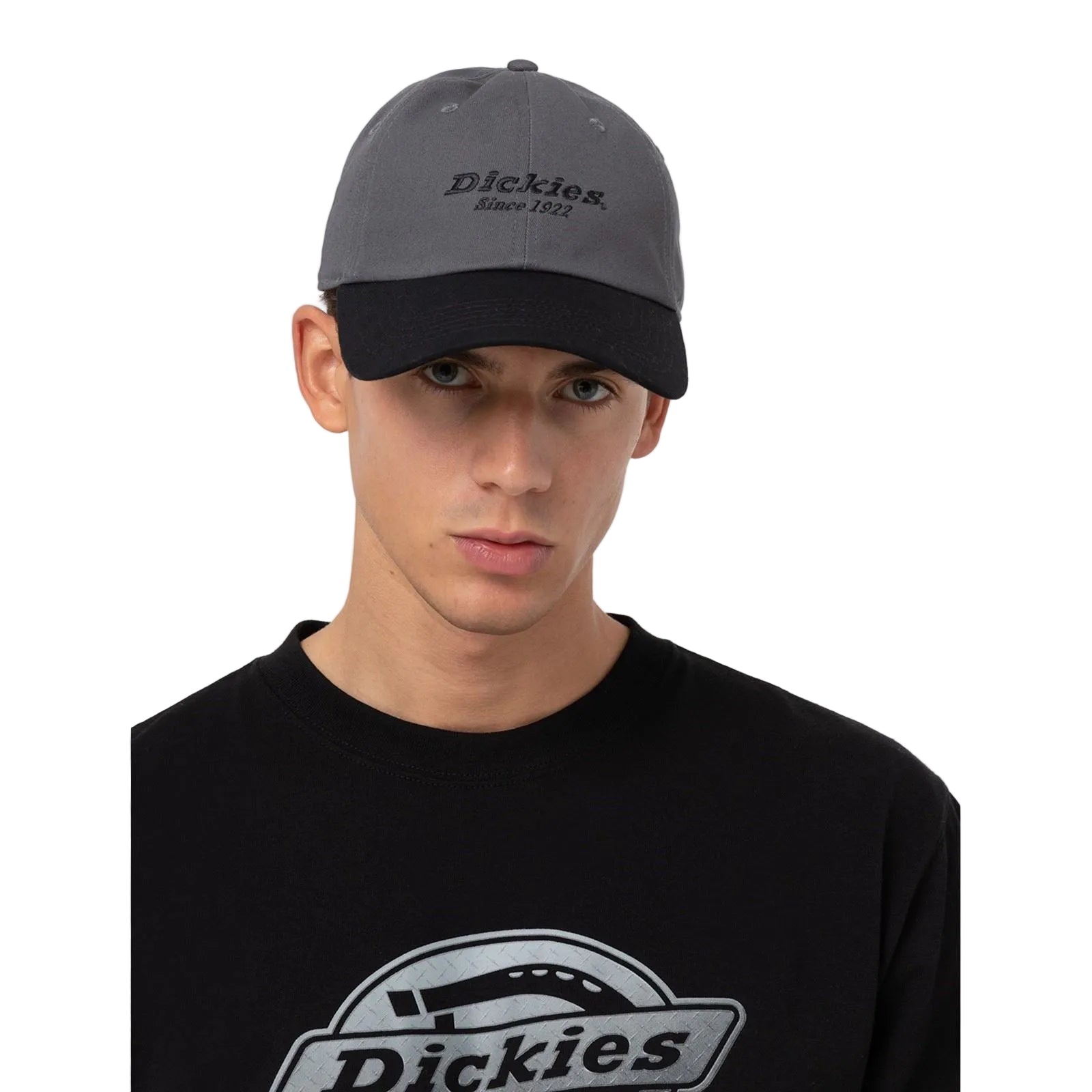 Dickies Everyday Dickies Twill Cotton Unisex Adults Grey Baseball Caps