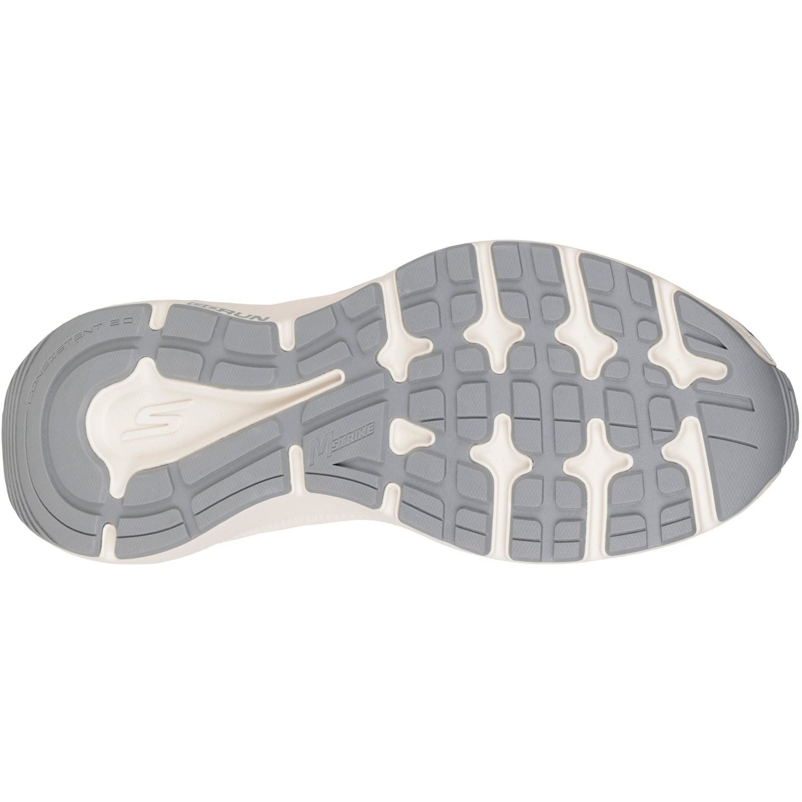 Skechers GO RUN Consistent 2.0 Volt Leather Women's Silver/Navy Sneakers