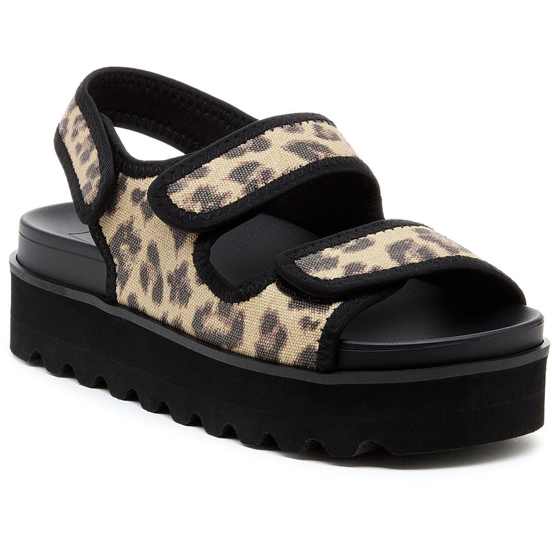 Rocket Dog Balmy Dexter Textile Women's Tan/Black Sandals