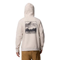 Columbia Columbia Trek Graphic Hoodie Cotton Men's Brown Hooded Sweatshirt